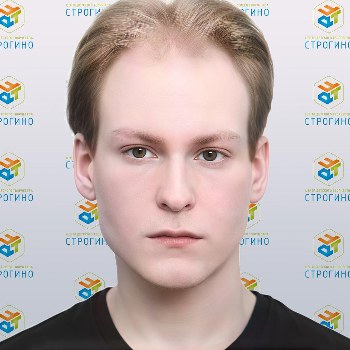 Вельш Д.И.